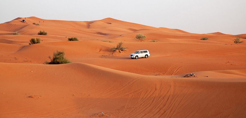 Dubai Desert Safari camel ride