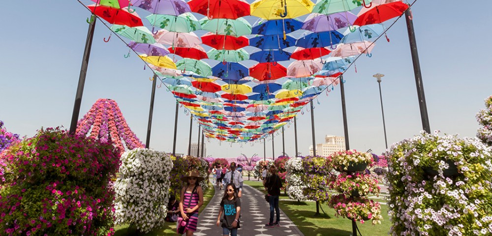Theme Parks Dubai Miracle Garden