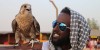 Abu Dhabi Desert Safari Tours and falcon tour