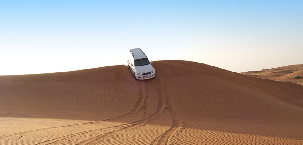 Dubai Desert Safari platinum dune bashing