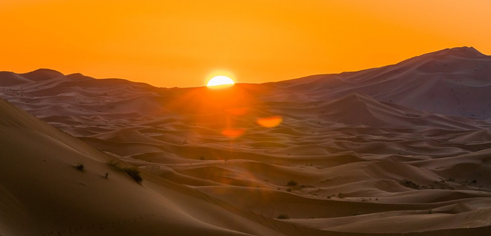 Abu Dhabi Desert Safari Tours dune bashing at sunrise