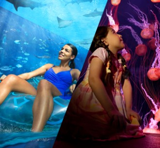 Theme Parks, Water Parks Combo Deals a girl at Aquaventure and a woman at Lost Chambers Aquarium