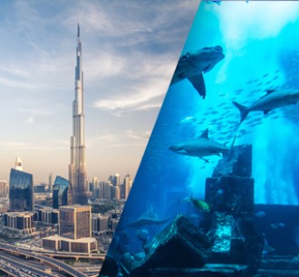 Dubai Sightseeing City Tour Burj Khalifa and Aquarium view 