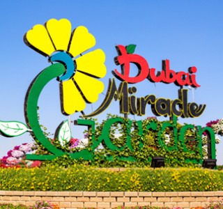 Theme Parks Dubai Miracle Garden