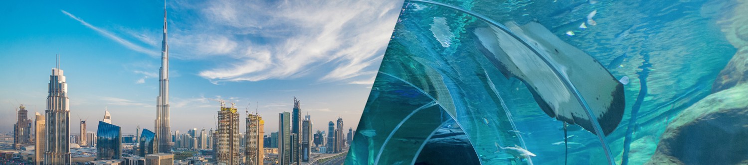 Full-Day-Dubai-Tour-With-Burj-Khalifa,-Underwater-Zoo-And-Lunch_Main_Banner2.jpg