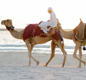 Abu Dhabi Desert Safari Tours morning camel ride