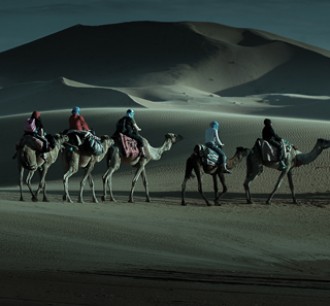 Abu Dhabi Desert Safari Tours camel riding at night