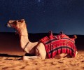 Best Desert Safari Tours overnight deluxe with dunes under moon