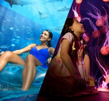 Theme Parks, Water Parks Combo Deals a girl at Aquaventure and a woman at Lost Chambers Aquarium