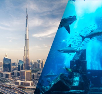 Dubai Sightseeing City Tour Burj Khalifa and Aquarium view 