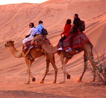 Dubai Desert Safari camel ride