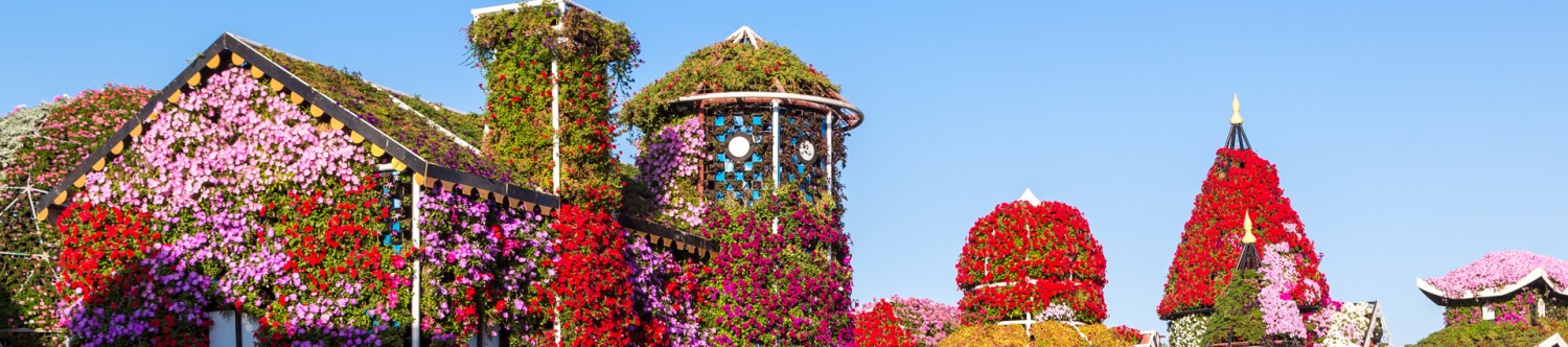 Dubai-Miracle-Garden_Main_Banner.jpg