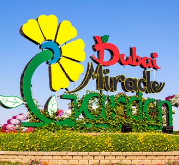 Theme Parks Dubai Miracle Garden