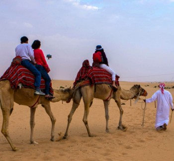 Abu Dhabi Desert Safari Tours and falcon tour