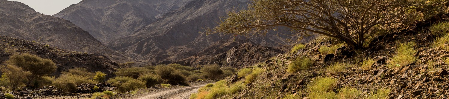 Hatta-Mountain-Safari_Main_Banner.jpg