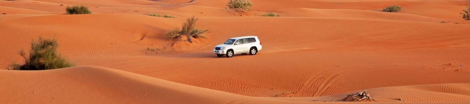 Morning-Red-Dunes-Safari_Main_Banner.jpg