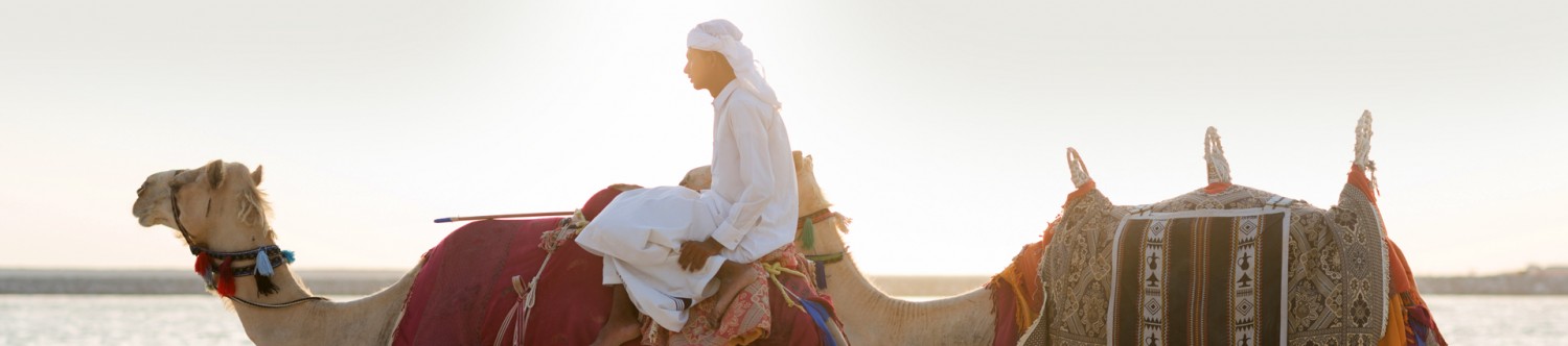 Morning-Safari-Abu-Dhabi_Main_Banner.jpg