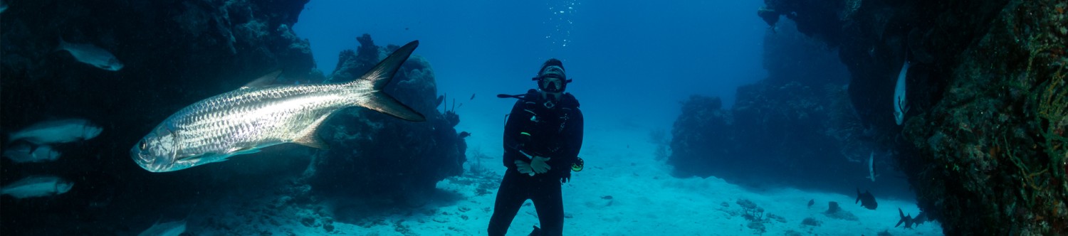 Scuba-Diving-Tour_Main_Banner.jpg